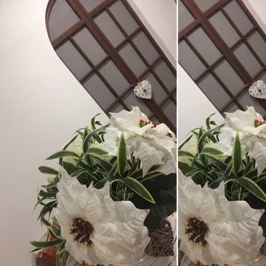 Il Ghiretto Appartamento ริคคอ เดล โกลโฟ ดิ สเปเซีย ภายนอก รูปภาพ